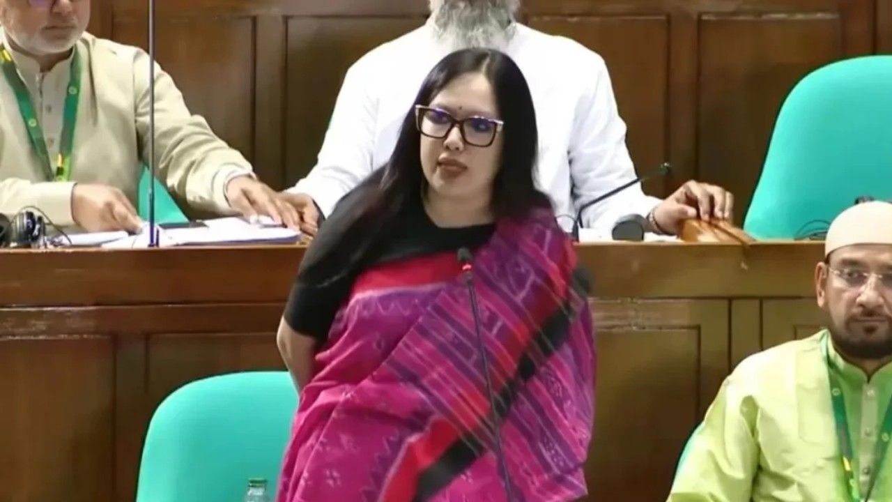 বিএনপি ক্ষমতায় আসবে আর গ্যাস-বিদ্যুৎ সংকট হবে না, এটা হতেই পারে না: রুমিন ফারহানা