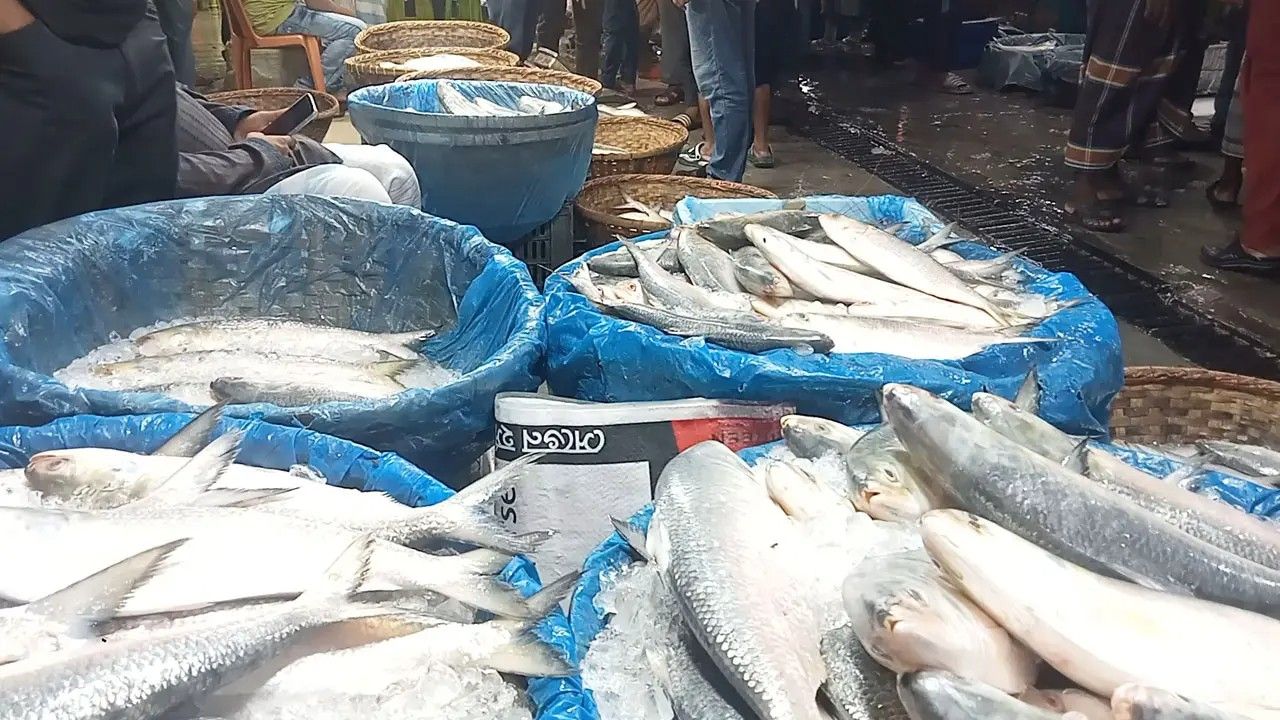 দুর্গাপূজায় বাংলাদেশি ইলিশ চায় ভারতের আমদানিকারকরা