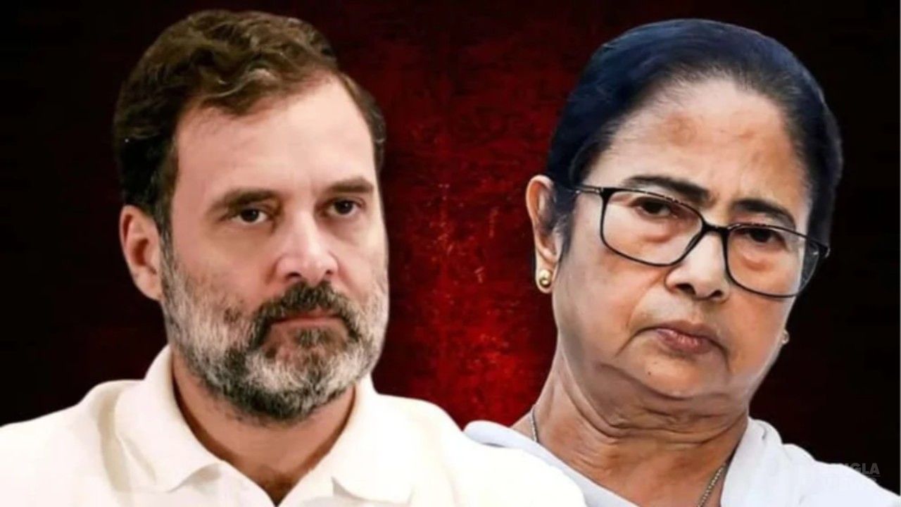 মমতার পাশে বিরোধীরা, নির্বাচন কমিশনকে কড়া প্রশ্ন রাহুলের