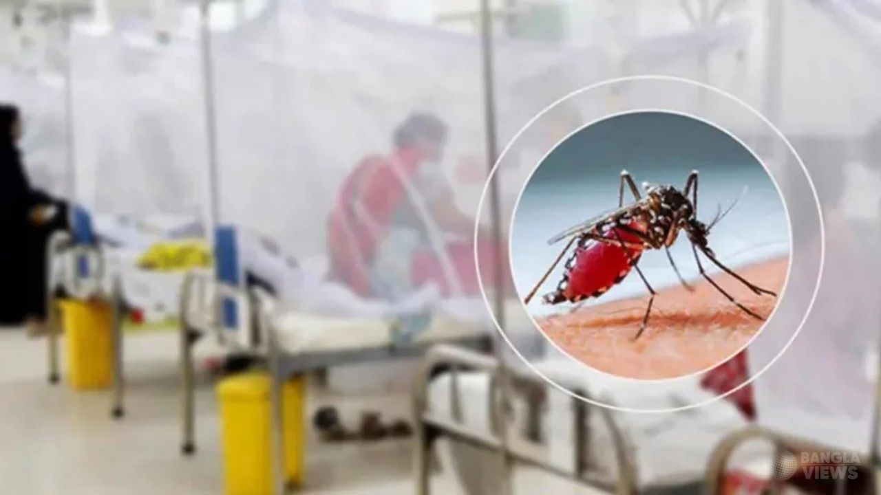 ডেঙ্গুতে আরও ২ জনের মৃত্যু, একদিনে হাসপাতালে ১২৩২