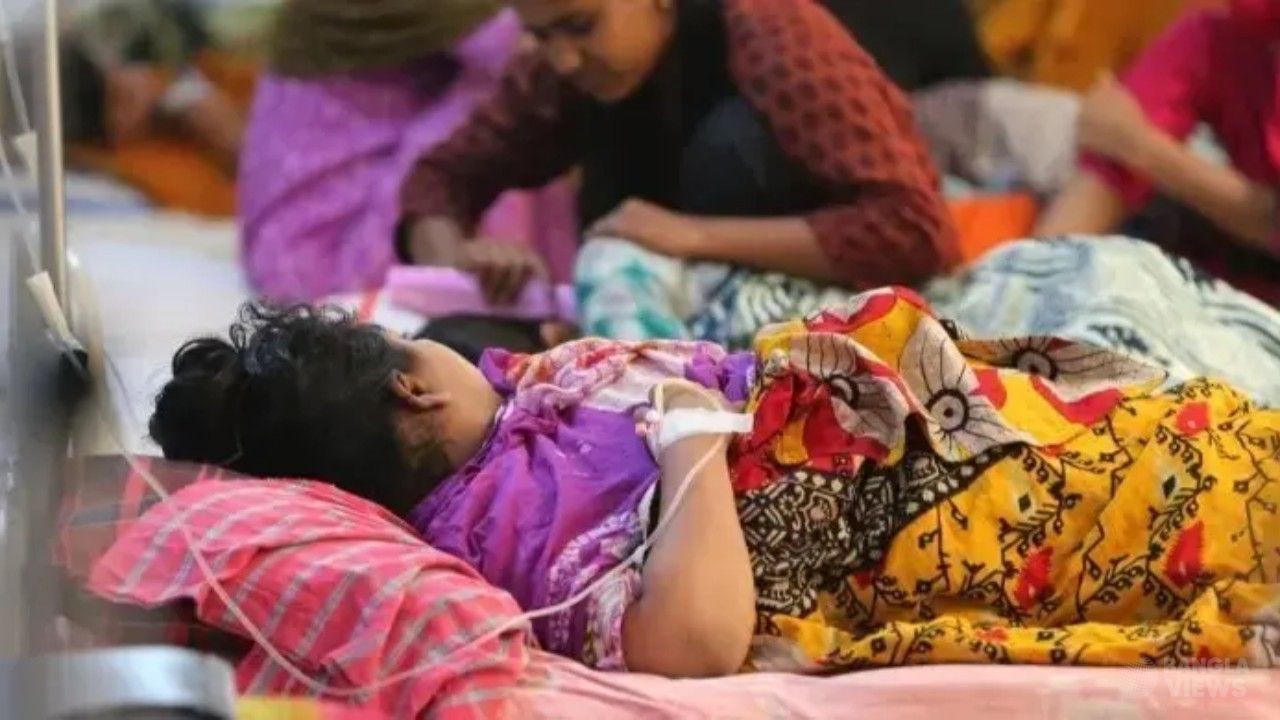 ডেঙ্গুতে আরও ৫ মৃত্যু, হাসপাতালে ভর্তি ১৮৭২