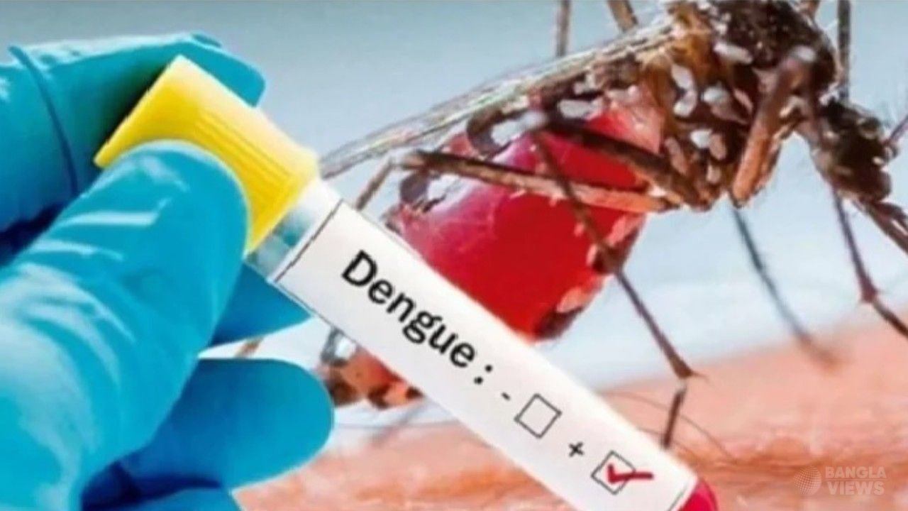 ডেঙ্গুতে আরও ৬ মৃত্যু, হাসপাতালে ভর্তি ১৮৫৮