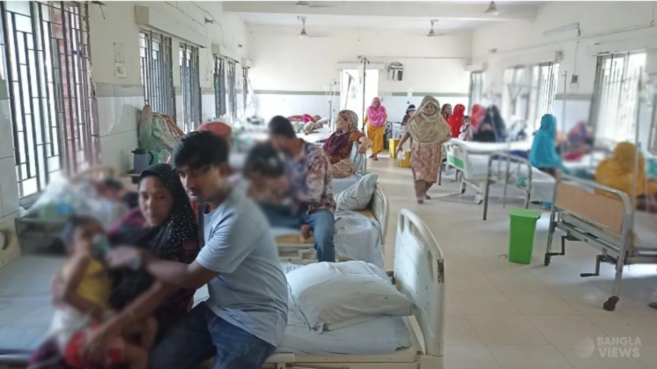 কুমিল্লায় বাড়ছে ডেঙ্গুর প্রকোপ, আক্রান্ত ৩৯ 
