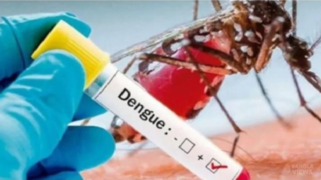 ডেঙ্গুতে একদিনে ৮ মৃত্যু, হাসপাতালে ভর্তি ১৭৮২