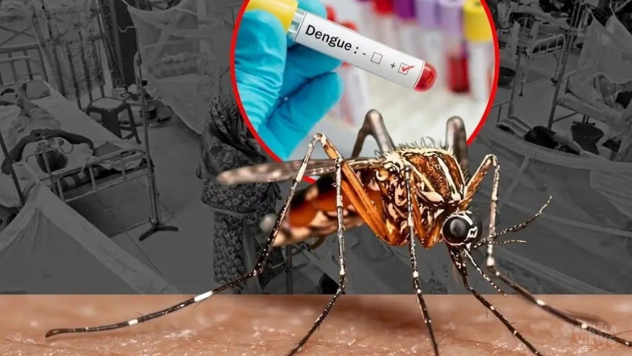 ডেঙ্গুতে আরও ৬ মৃত্যু, হাসপাতালে ভর্তি ২ হাজার ৮৯ জন