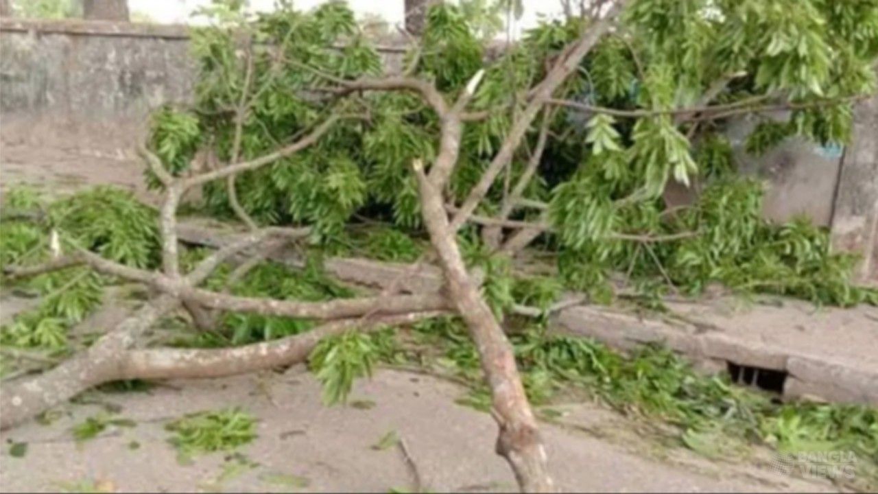  নবাবগঞ্জে গাছের ডাল পড়ে মোটরসাইকেল আরোহী নিহত, আহত শিশু সন্তান