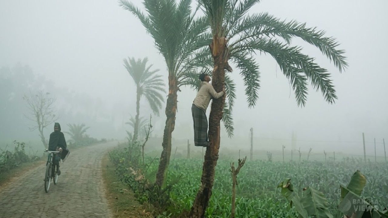 শীত নিয়ে নতুন বার্তা দিল আবহাওয়া অধিদপ্তর