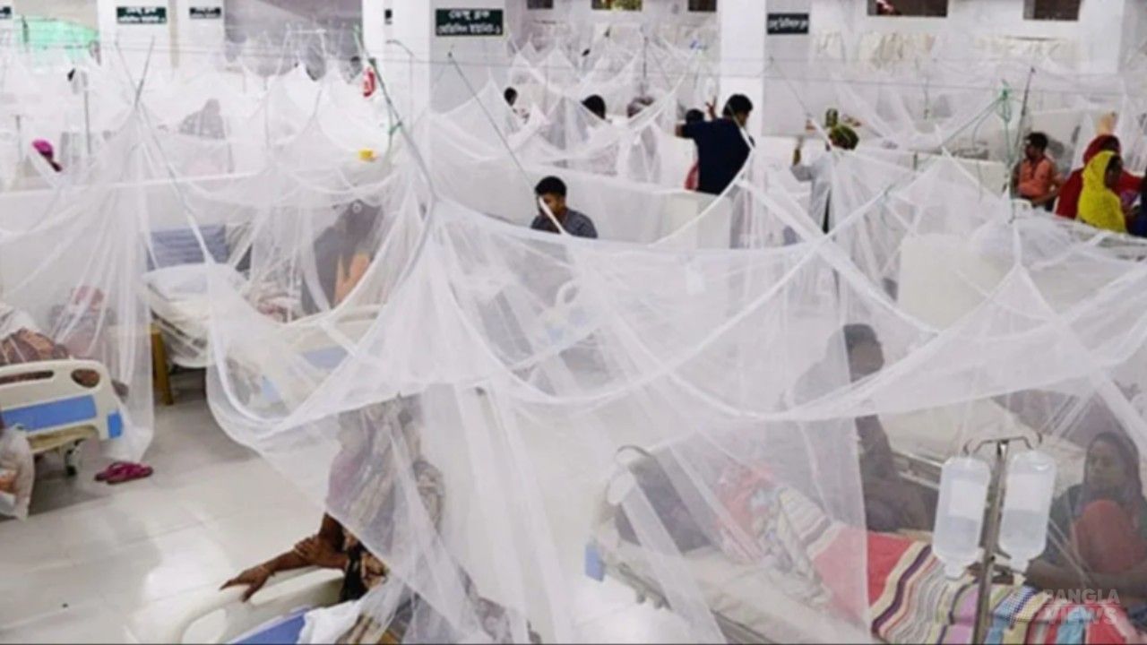 ডেঙ্গুতে ২৪ ঘণ্টায় রেকর্ড ১১ জনের মৃত্যু, শনাক্ত ২০৭১