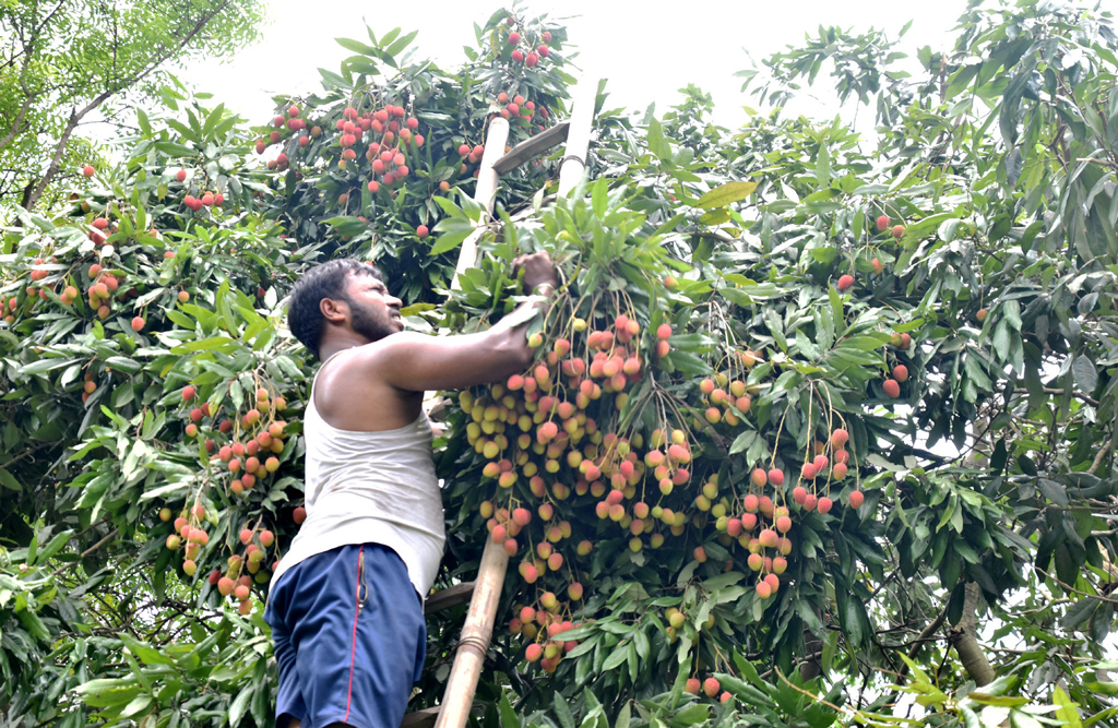 দিনের ছবি (১৩ মে, ২০২৬)