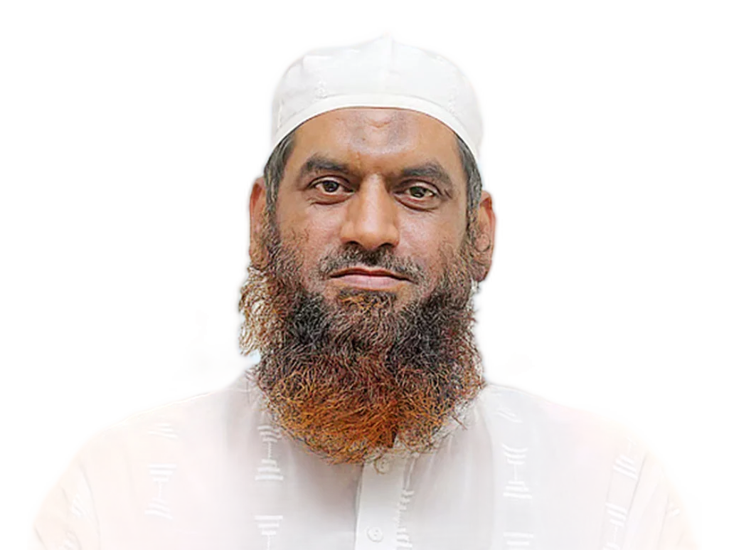 আল্লামা মামুনুল হক
